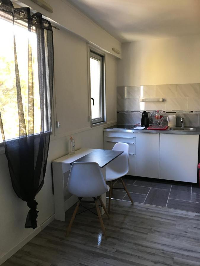 Studio Richelieu 1 Et Son Parking Prive Daire Villeurbanne Dış mekan fotoğraf